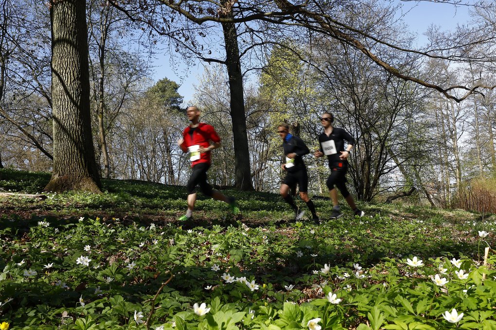 People running in a forest.