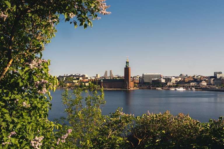 Stockholm's City Hall by the water, with lilac trees in the foreground