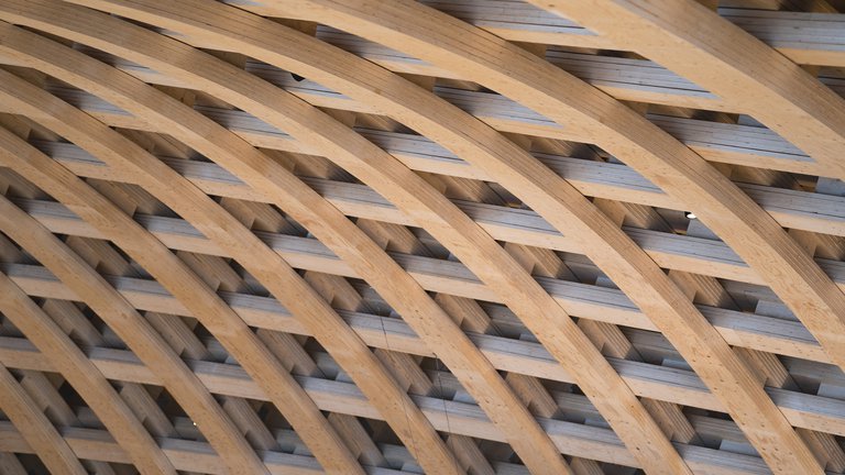 Attractions in Stockholm. The wooden ceiling at Wisdome.