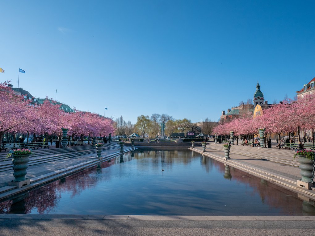 Parks In Stockholm - Guide To The Best Parks - Visit Stockholm