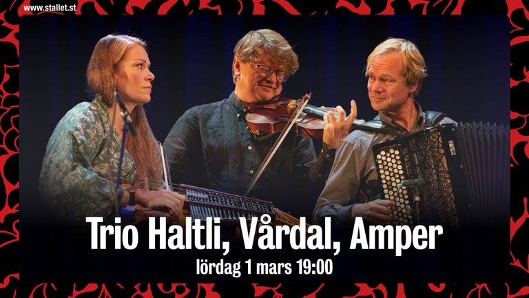 250301 Trio Haltli, Vårdal, Amper FNU.jpg