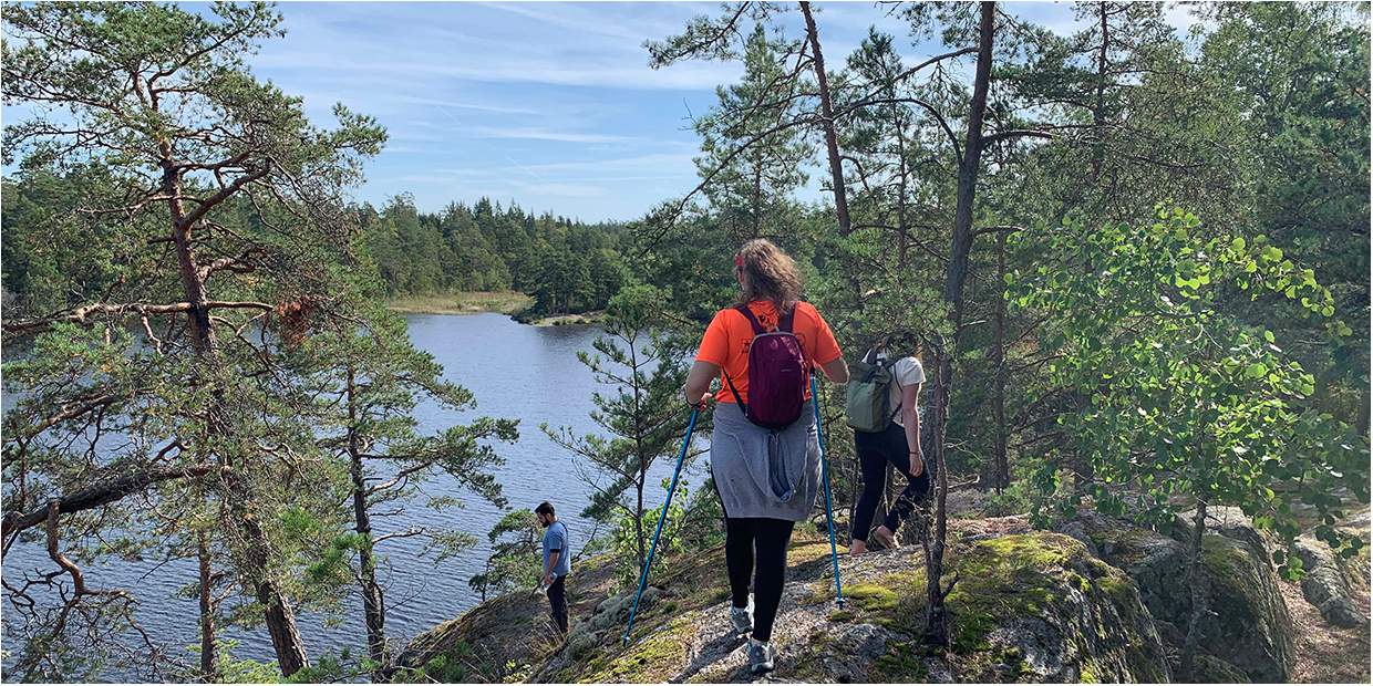 A Morning Hike in Nature Reserve - Visit Stockholm