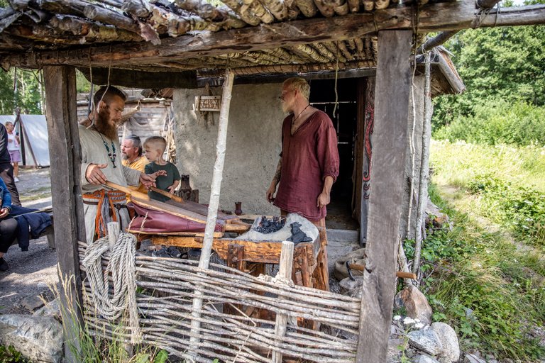 Birka_ vikingastaden_Claes Helander.jpg