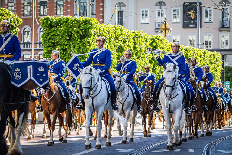 Mounted Horse Guard Parade