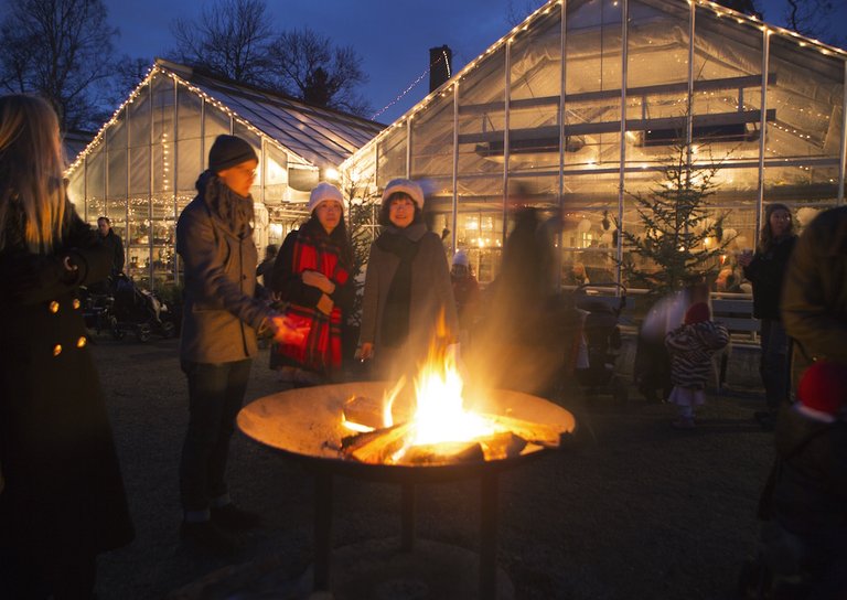 Julkväll på Rosendals Trädgård.jpg