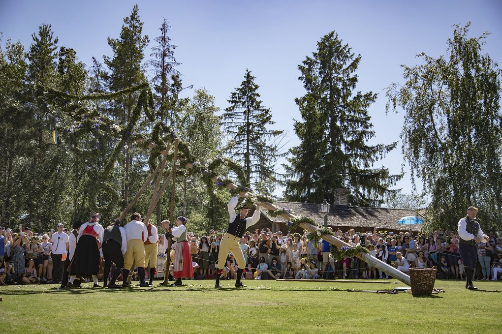 People in traditional folk costumes raise the midsummer pole in front of a large crowd at Skansen in Stockholm on a sunny summer day.
