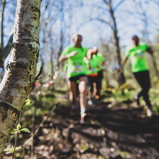 STHLM Trail Run.jpg