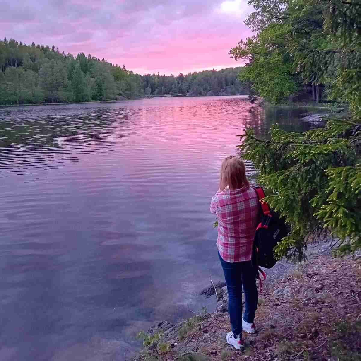 Evening Hike in Tyresta National Park Visit Stockholm