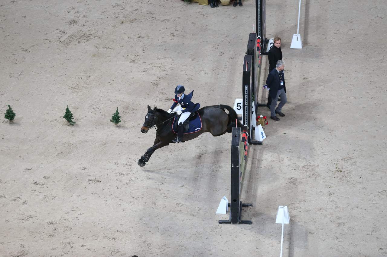 Hobby Horse Jump with Stockholm Horse Week - Visit Stockholm