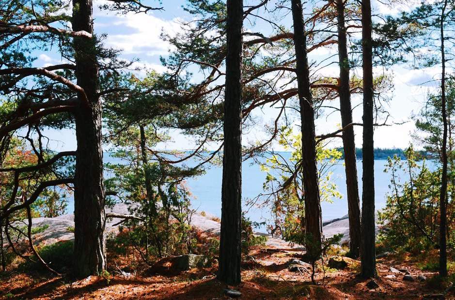 Björnö nature reserve - Visit Stockholm