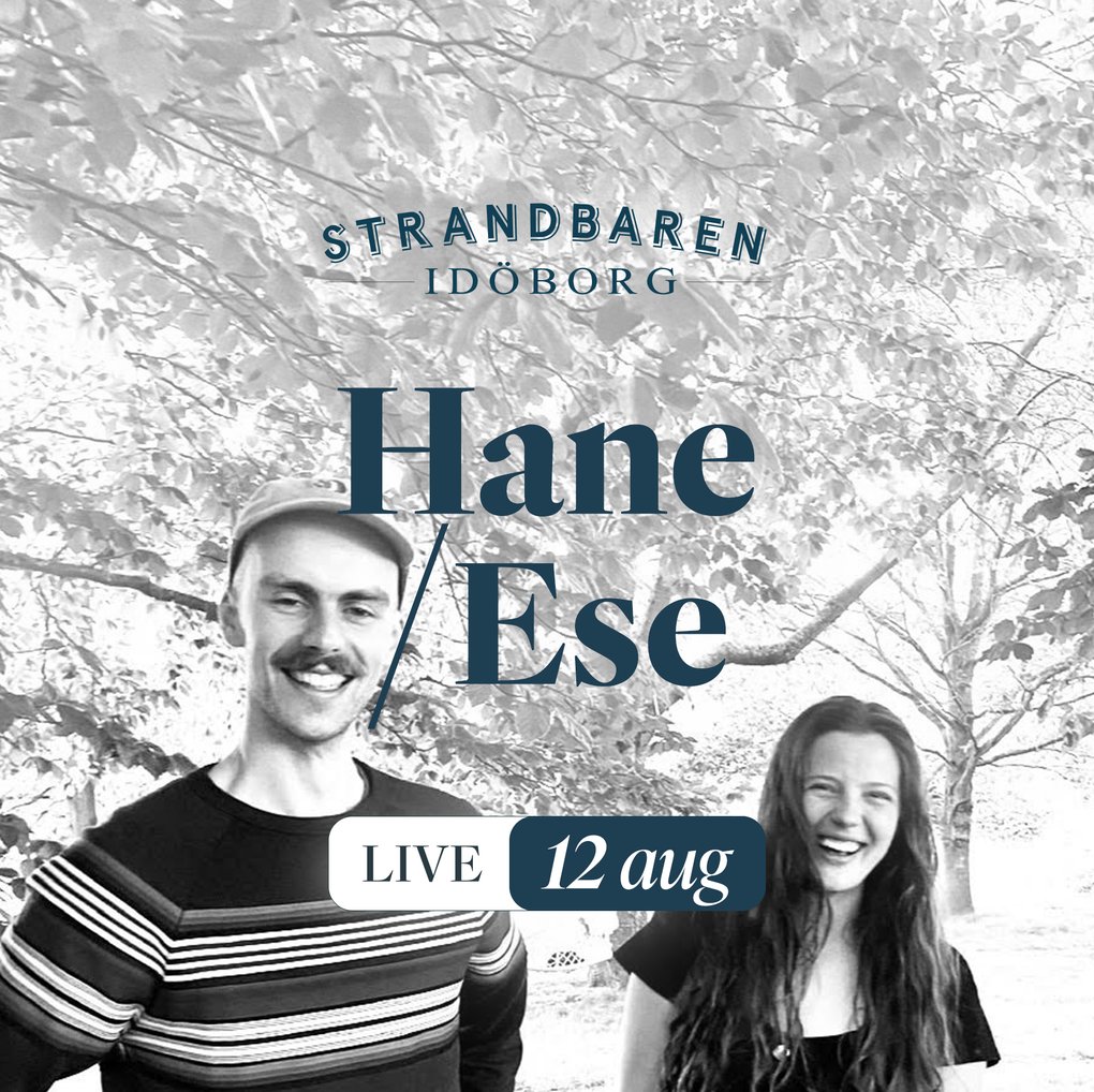 Duon Hans/Ese Live on Idöborg