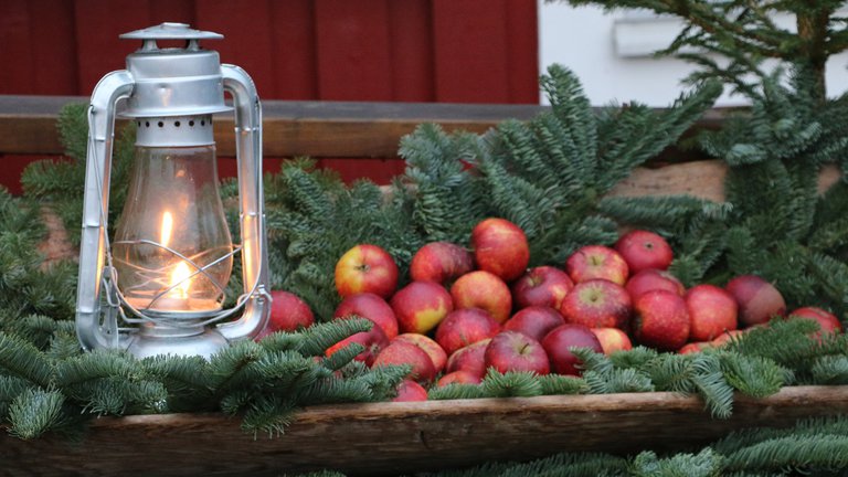 a lantern, red apples on branches of spruce and a red cottage in the background