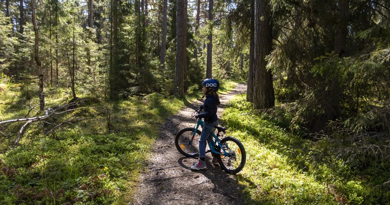 Biking in the archipelago