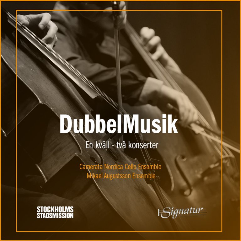 webb-dubbelmusik.jpg